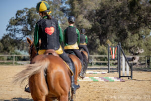 Horsemens Information Evening