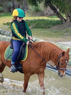 Horsemens February Rally