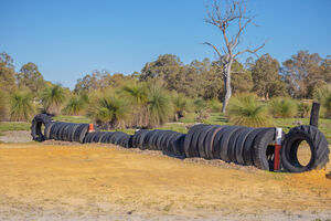 State Tetrathlon Championships