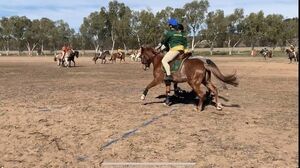 Marsden Cup / Zone Active Riding Qualifier