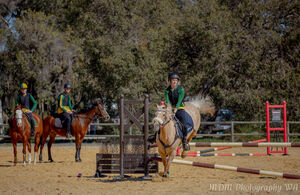 Horsemens Show Jumping Competition