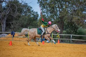 State Active Riding Qualifier