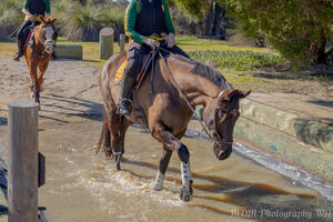Horsemens September Rally