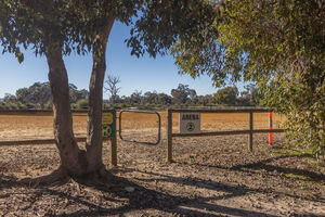 Horsemens Arena Eventing Event 2