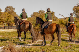 State Active Riding Championship