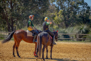 Hickstead & Hunter Trials State Event