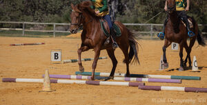 Horsemens November Rally - final rally